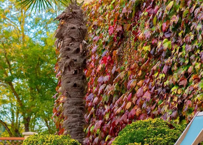 Propriete Le Monneton Bed and Breakfast Sainte-Christie